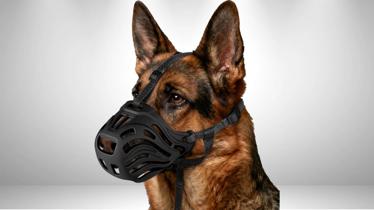 Dog Muzzle