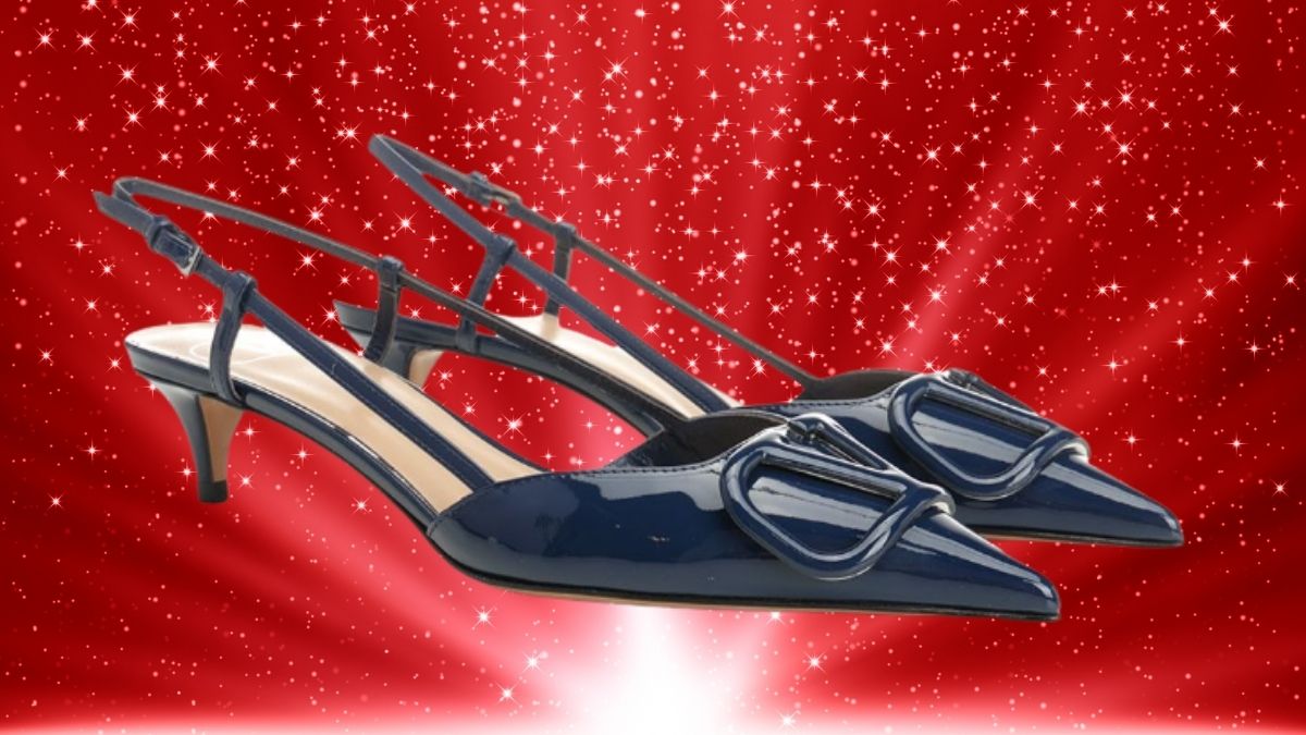 What Makes the Valentino Garavani VLogo Slingback Pump a Classic Heel into a Signature Statement