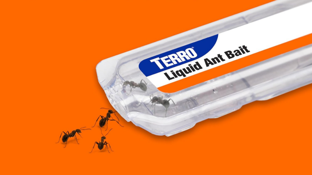 Why TERRO T300B Ant Killer Bait Stations Work Better for Colony Control